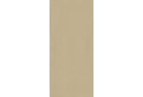 Płyta laminowana Inox Szampan PF8031SG
