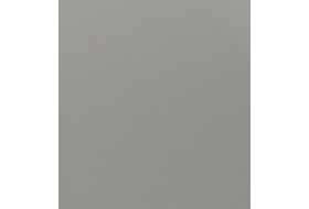 Srebrny Metalik 8636