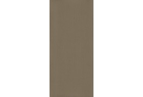 Płyta laminowana Inox Beż PF8030SG